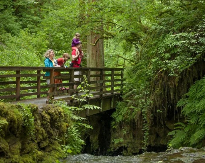 Forest Park, Oregon, USA